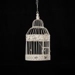 1098 5548 BIRDCAGE